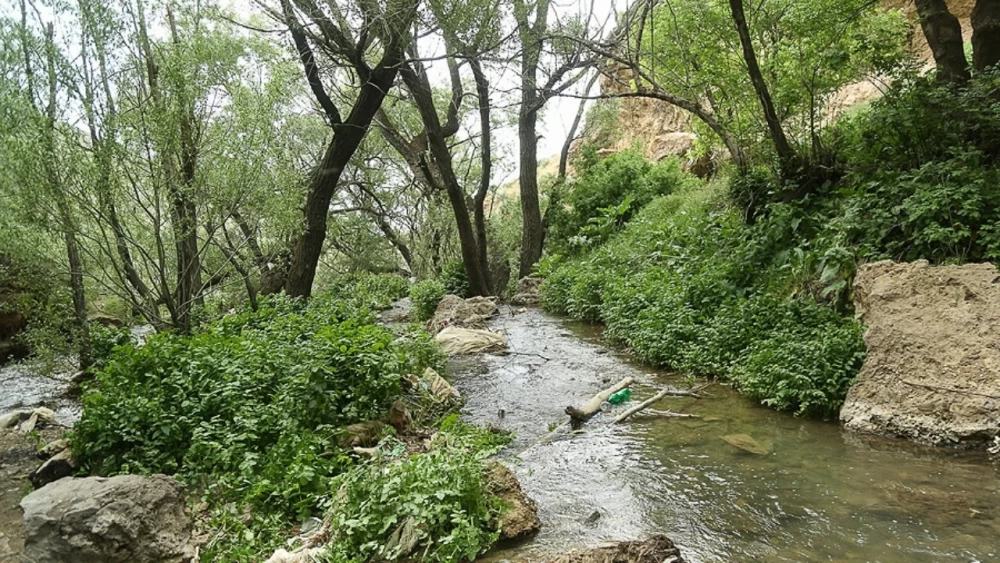 تصاویر روستای چناقچی