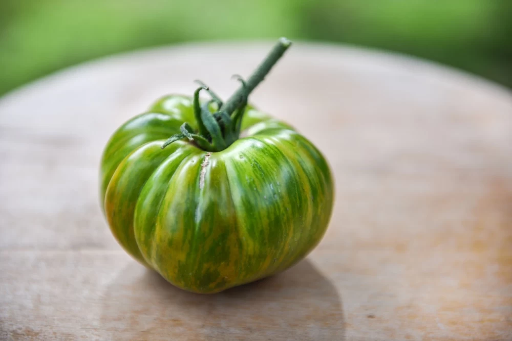 خواص گوجه فرنگی زبرا