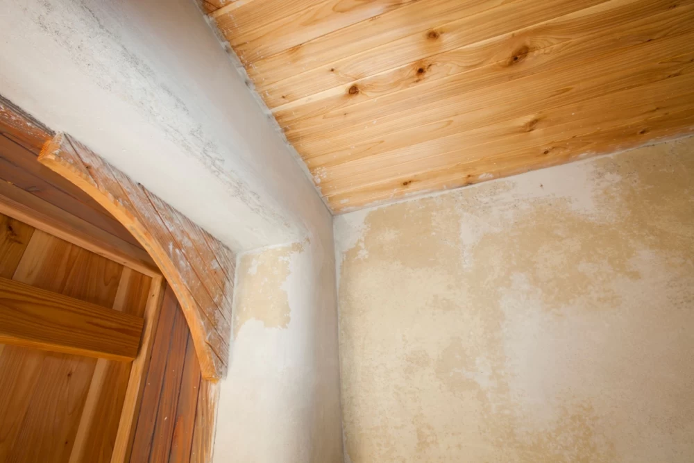 زرد شدن گچ سقف و دیوار