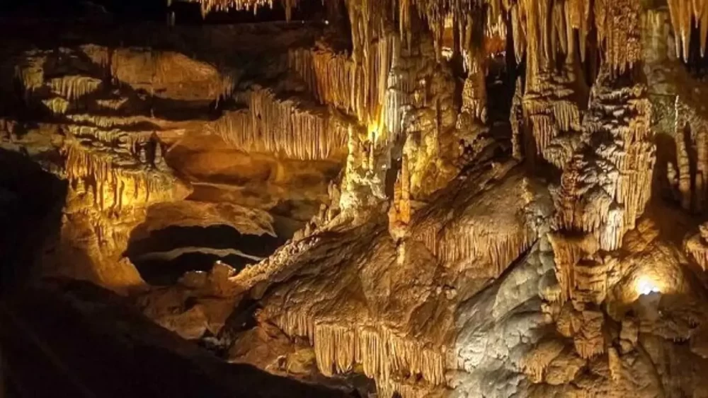 تصاویر پارک ملی غار ماموت 