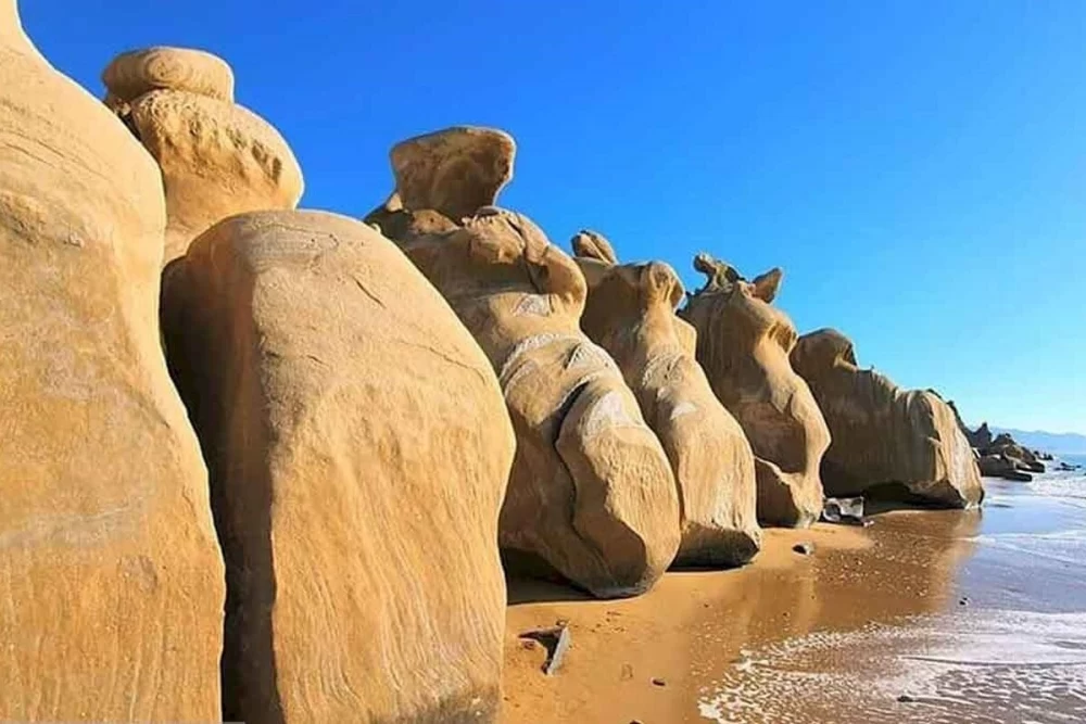 ساحل دستیر پارسیان