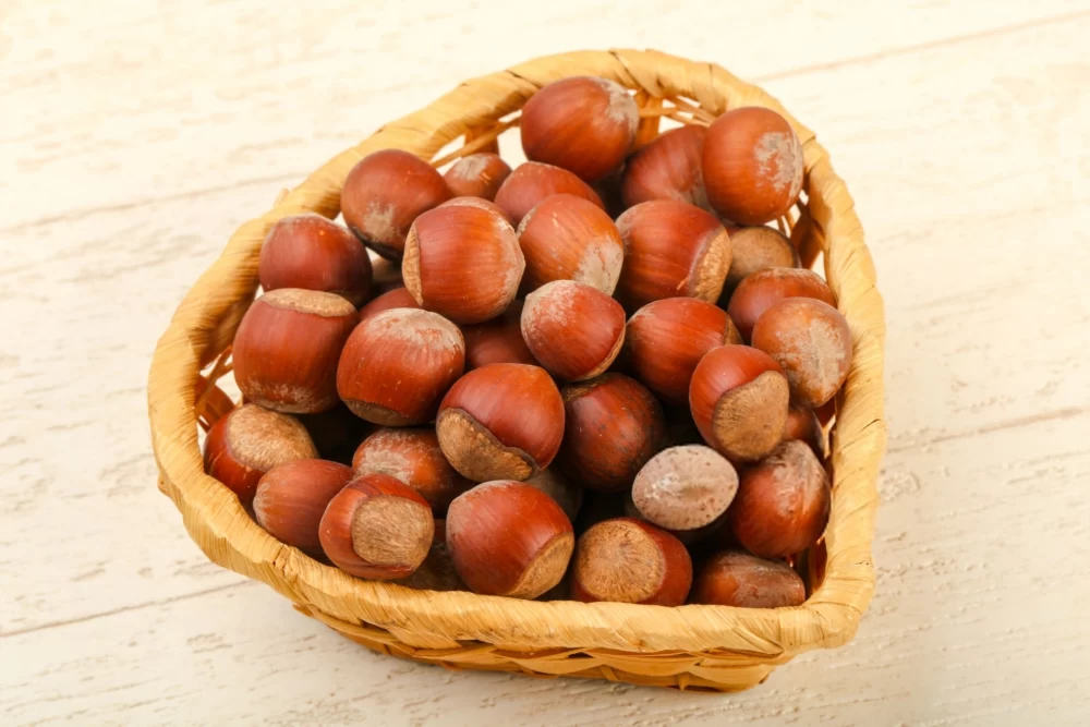 فندق برای کاهش فشار خون