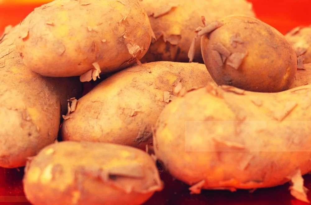 جلوگیری از تلخی سیب زمینی