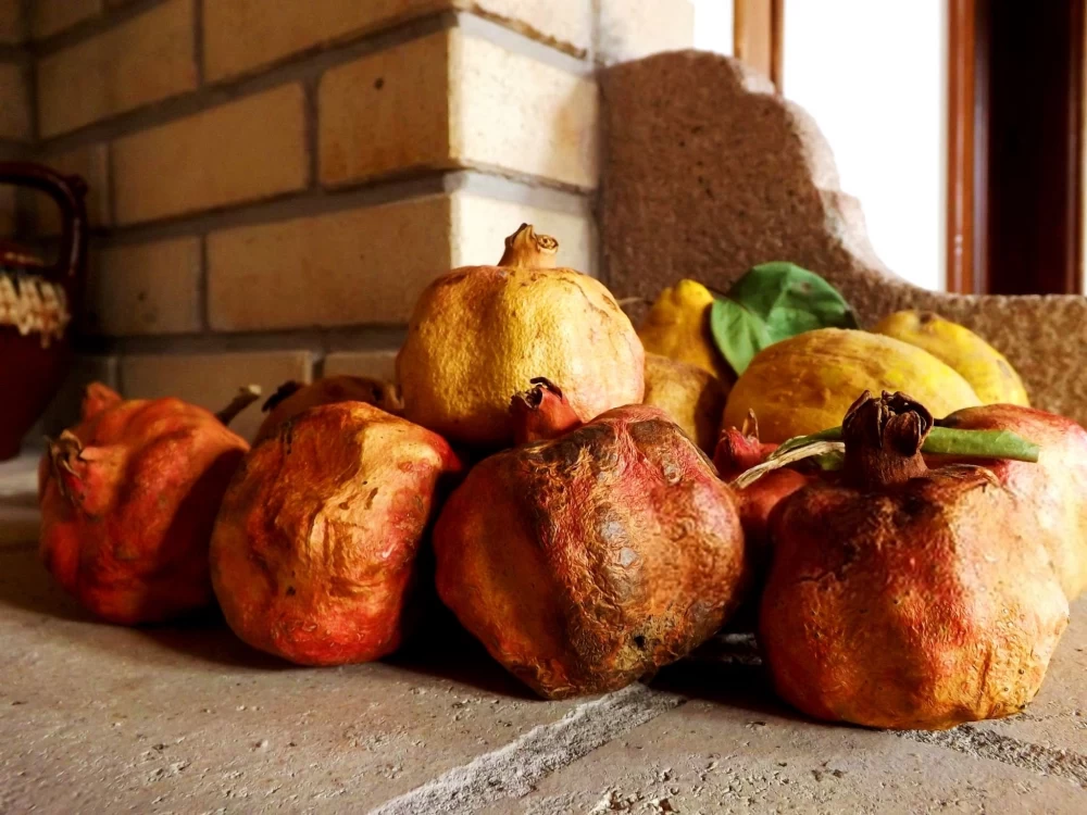 فواید پوست انار خشک شده