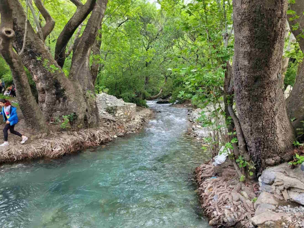 سراب گیان کجاست ؟ چشمه ای باستانی و طبیعتی بکر در نهاوند