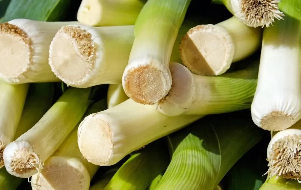 چگونه تره فرنگی بکاریم؟