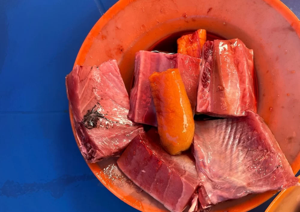 ماهی های ممنوع برای مصرف