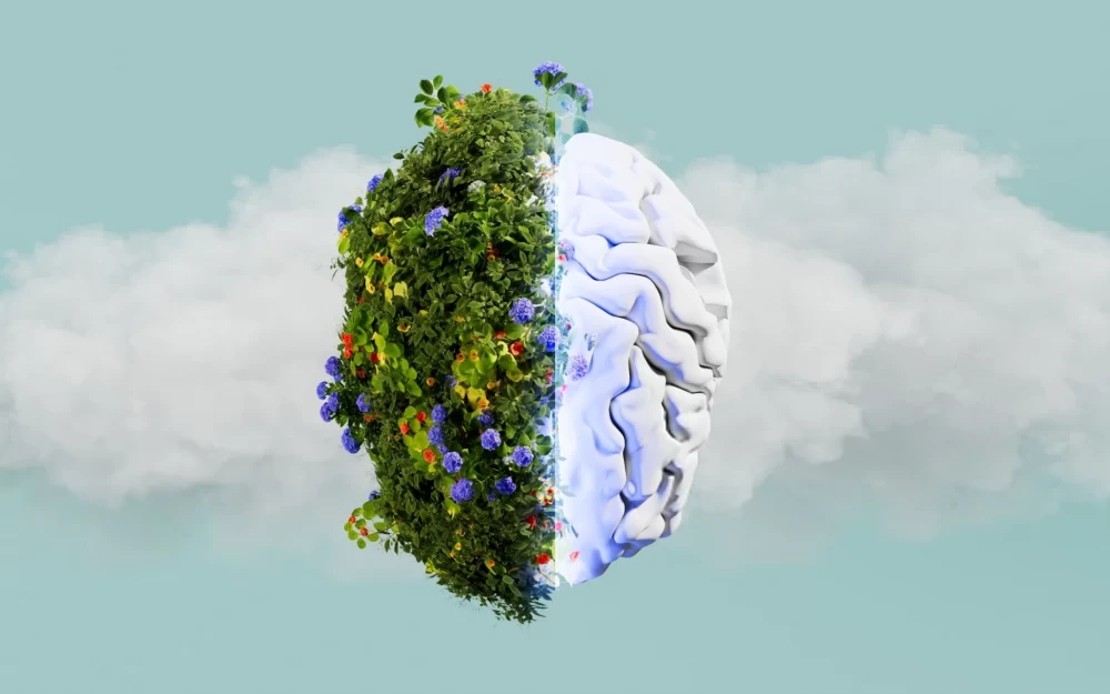 اهمیت طبیعت برای مغز