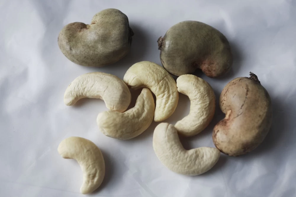 خواص بادام هندی برای فشار خون