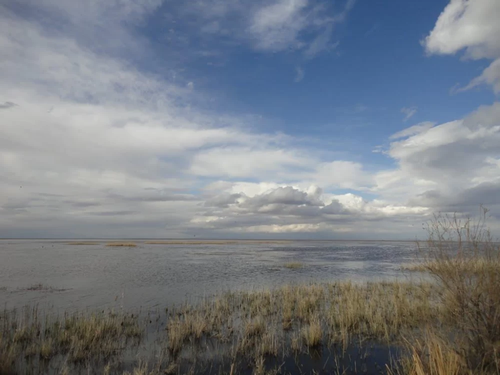 تصاویر تالاب کانی برازان میاندوآب