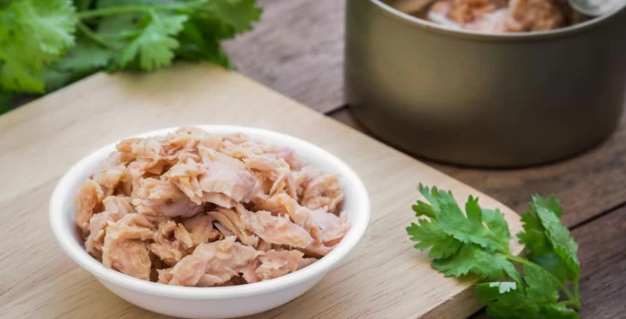 تهیه تن ماهی خانگی