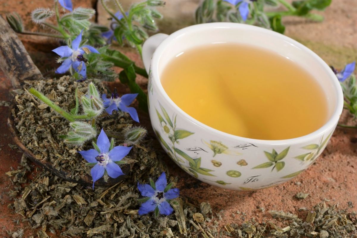 عرق گیاه پاپارا یا سیکوریا