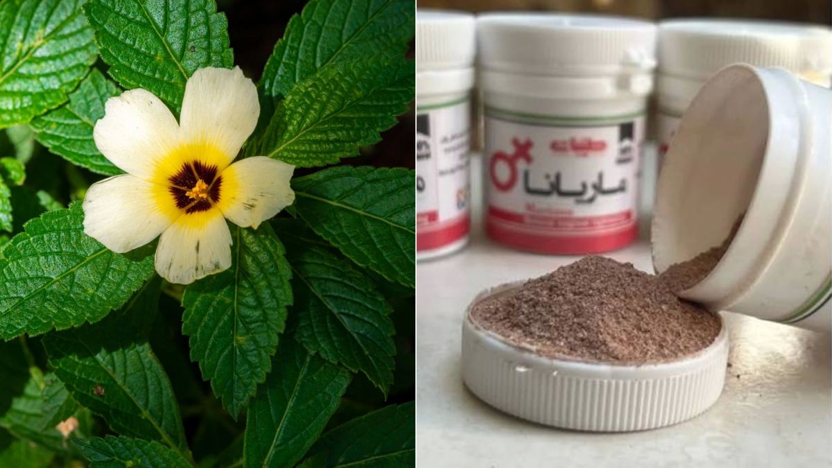 نحوه مصرف گیاه ماریانا