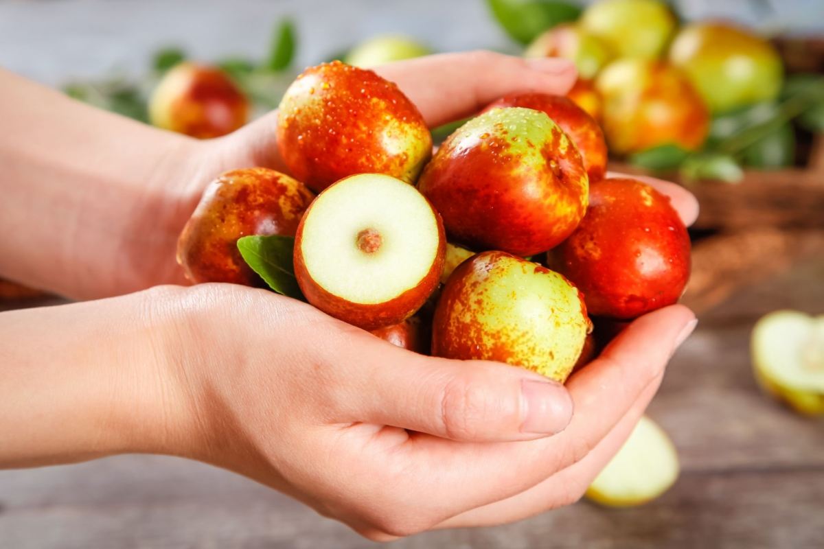 روغن عناب