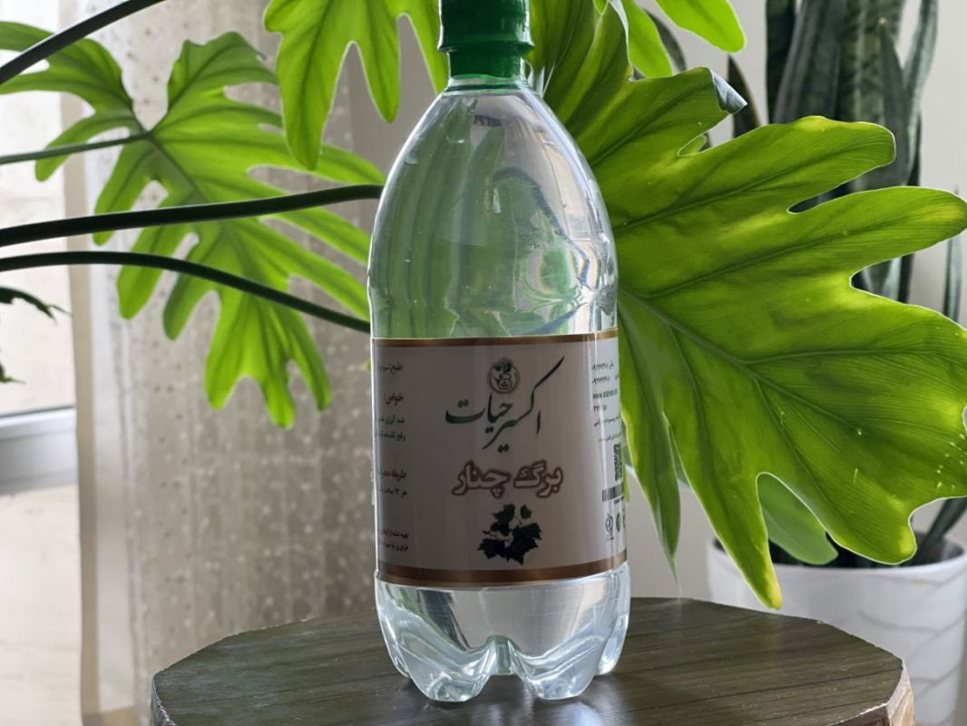 عرق برگ چنار 