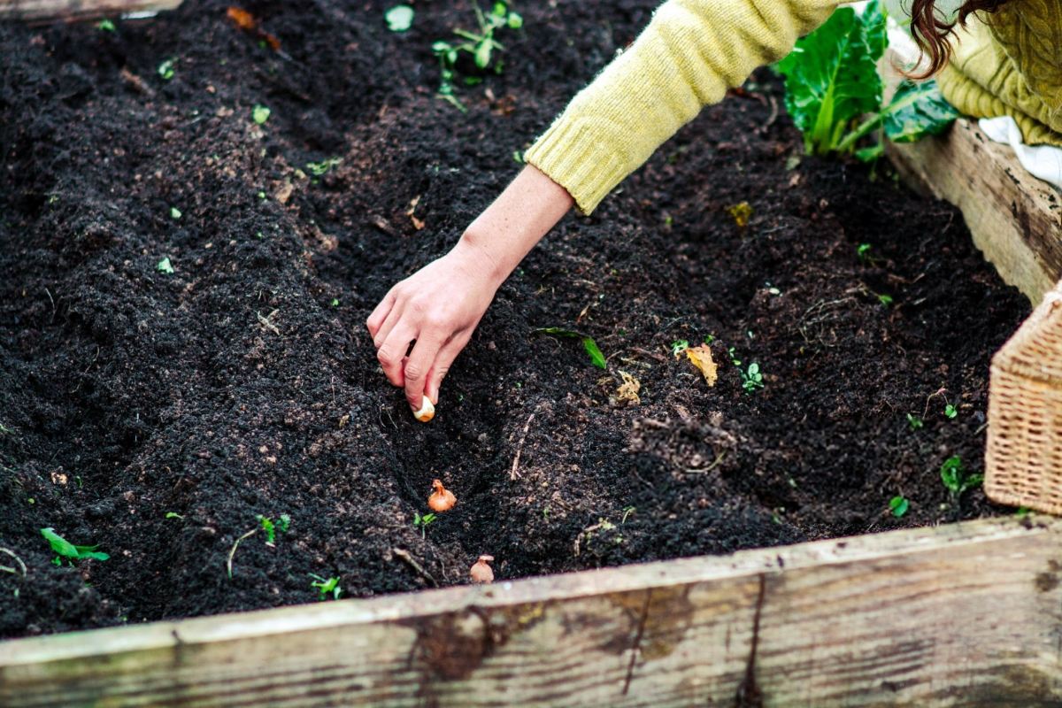 آماده سازی گلخانه برای پاییز 