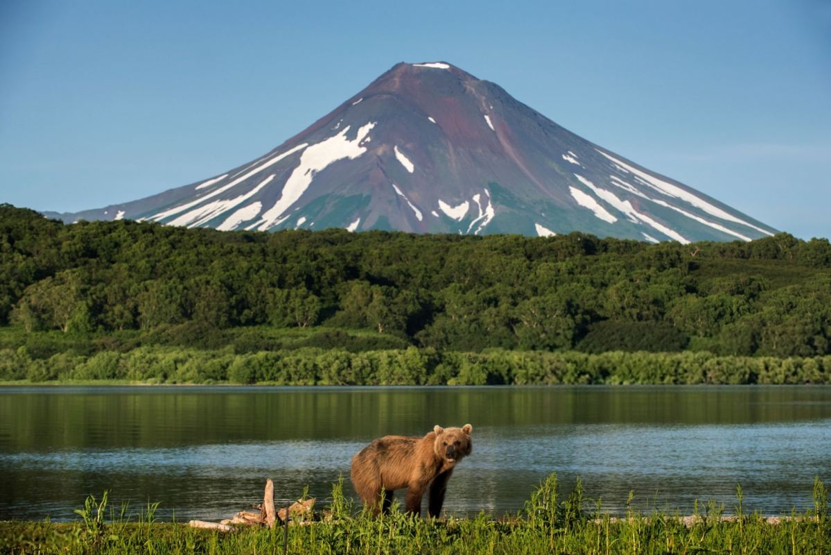 جاهای دیدنی کامچاتکا