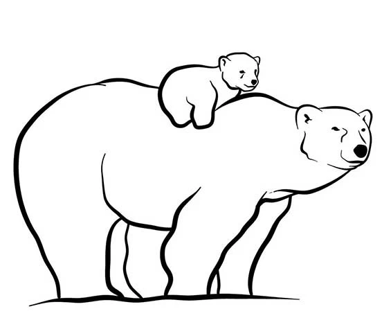آموزش نقاشی خرس به صورت مرحله به مرحله با مداد برای کودکان