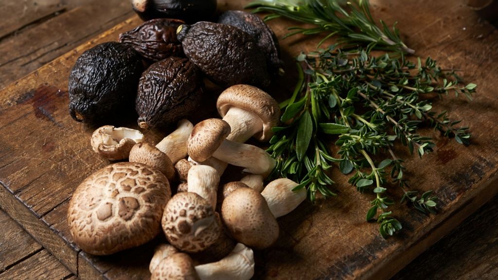 جادوی غذاهای تخمیری؛ چرا کیمچی و کامبوچا ترند آشپزی ۲۰۲۵ شدند؟