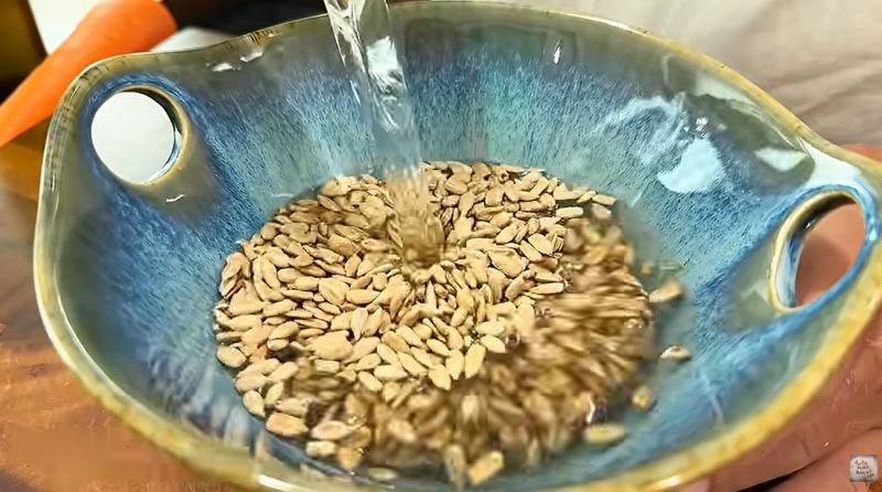 طرز تهیه دو معجون خانگی برای تقویت قلب و استخوان