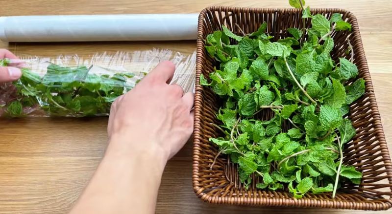 ۴ روش برای تازه نگه داشتن نعناع / تا ۱ سال نعنا تازه دارید