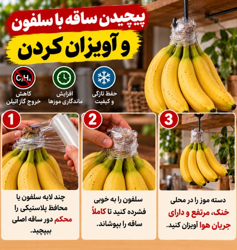 بهترین روش نگهداری از موز با شمع! تا ۶ ماه موز سیاه نمیشود