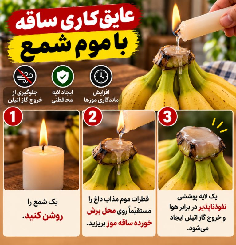 بهترین روش نگهداری از موز با شمع! تا ۶ ماه موز سیاه نمیشود
