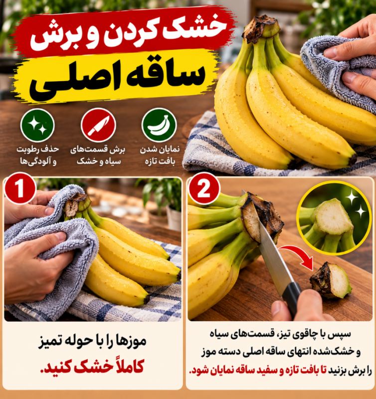 بهترین روش نگهداری از موز با شمع! تا ۶ ماه موز سیاه نمیشود