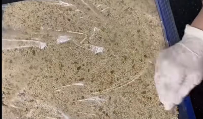 طرز تهیه سوهان کنجدی عسلی مقوی بدون شکر در کمتر از ۲۰ دقیقه