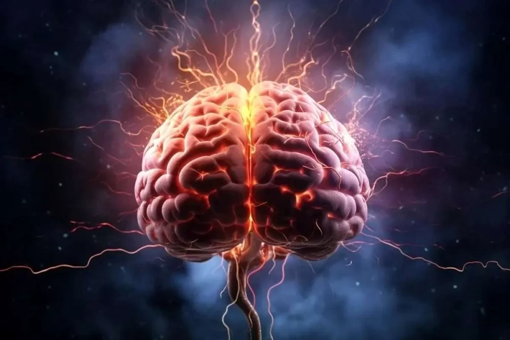 چطور از پیری مغز جلوگیری کنیم ؟ جوان نگهداشتن مغز با چند راهکار آسان