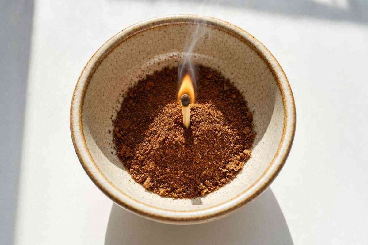 ترفند شگفت انگیز تفاله قهوه و کبریت برای دفع پشه؛ بدون مواد شیمیایی