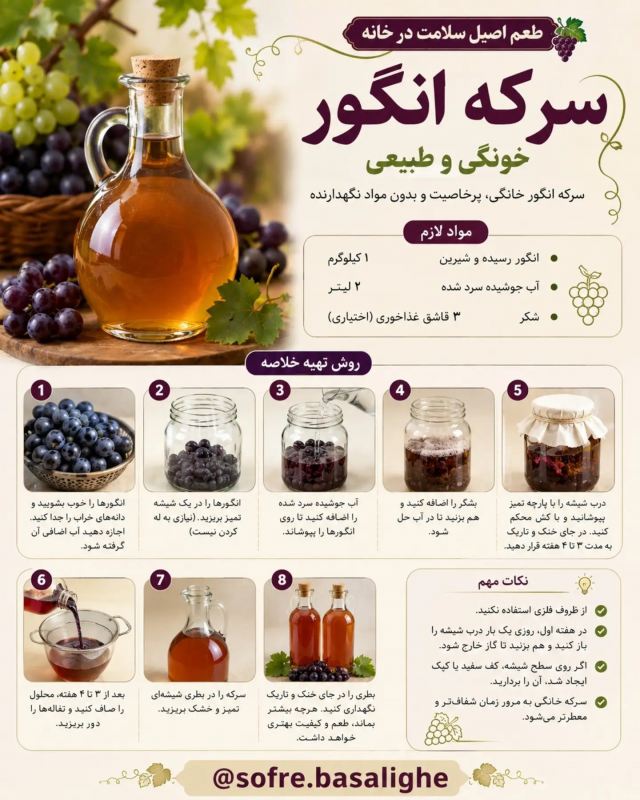 تا فصل انگوره این ۶ تا خوشمزه را درست کنید
