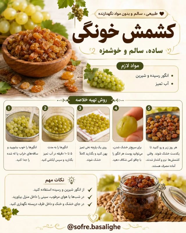 تا فصل انگوره این ۶ تا خوشمزه را درست کنید