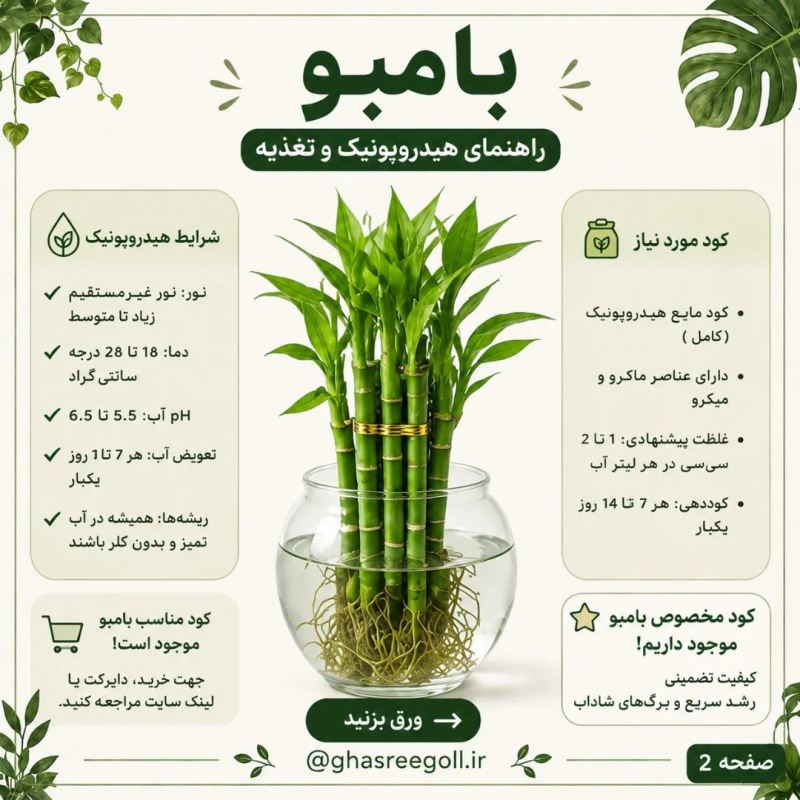 ۸ گیاهی که می توانید در آب پرورش دهید!!
