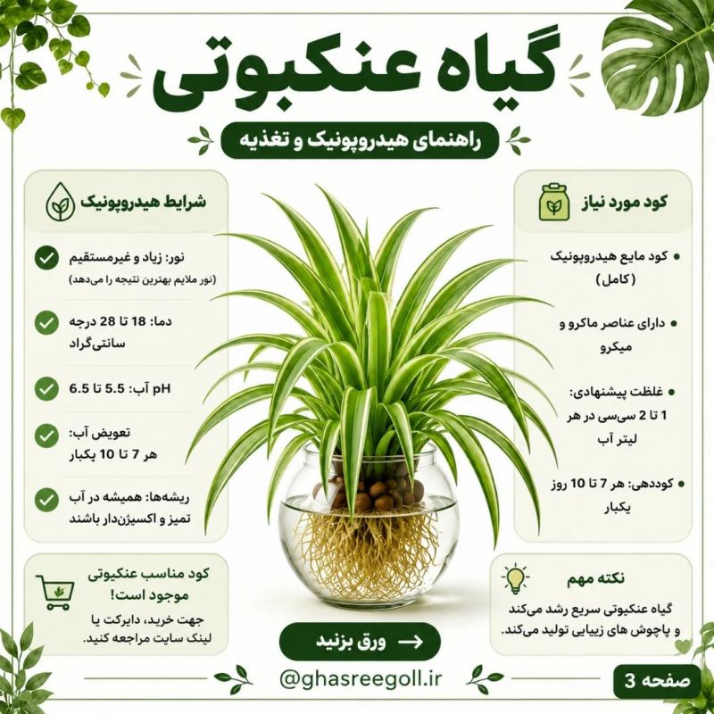 ۸ گیاهی که می توانید در آب پرورش دهید!!