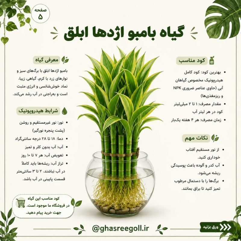 ۸ گیاهی که می توانید در آب پرورش دهید!!
