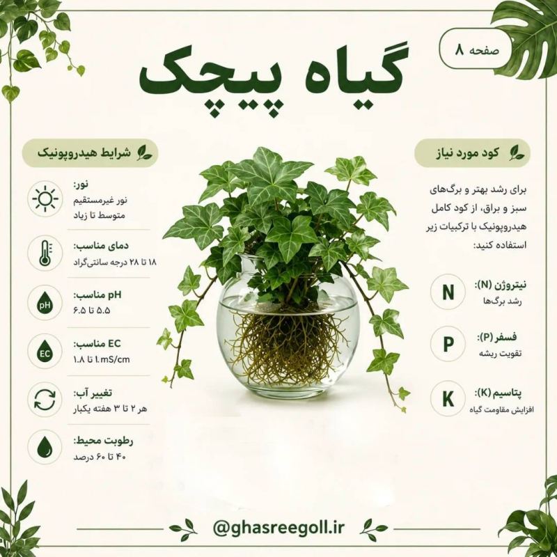 ۸ گیاهی که می توانید در آب پرورش دهید!!