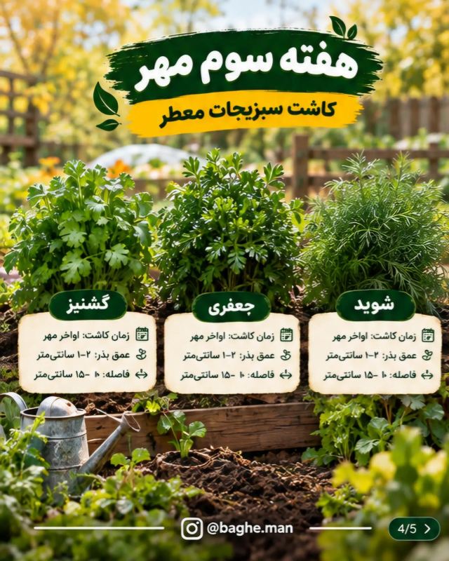 تقویم کاشت سبزیجات در مهرماه ؛ این سبزیها را حتماً بکارید