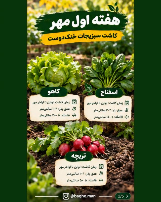 تقویم کاشت سبزیجات در مهرماه ؛ این سبزیها را حتماً بکارید