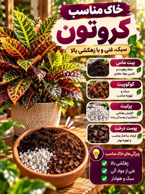 همه چیز درباره نگهداری کروتون؛ زیباترین گیاه برگ رنگی