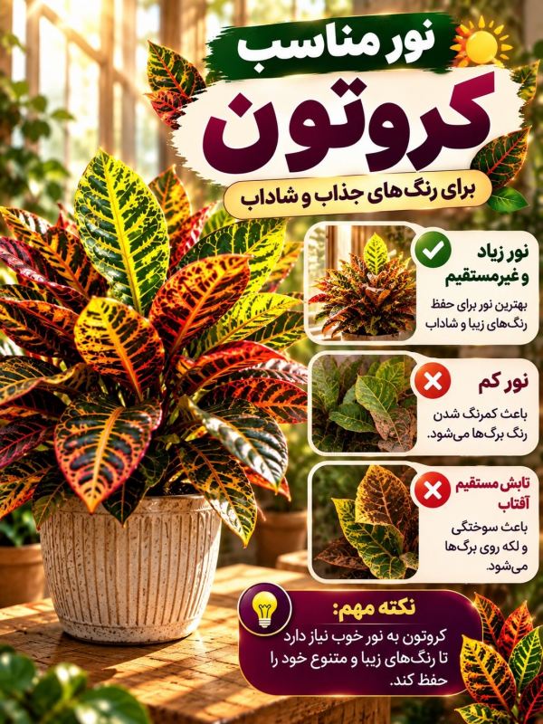 همه چیز درباره نگهداری کروتون؛ زیباترین گیاه برگ رنگی