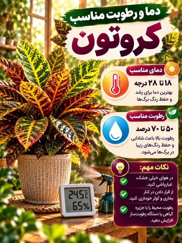 همه چیز درباره نگهداری کروتون؛ زیباترین گیاه برگ رنگی