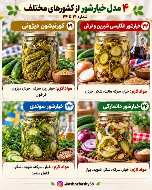 چندین مدل خیارشور از کشورهای مختلف؛ از تند تا شیرین و ادویه ای