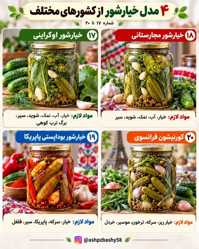 چندین مدل خیارشور از کشورهای مختلف؛ از تند تا شیرین و ادویه ای