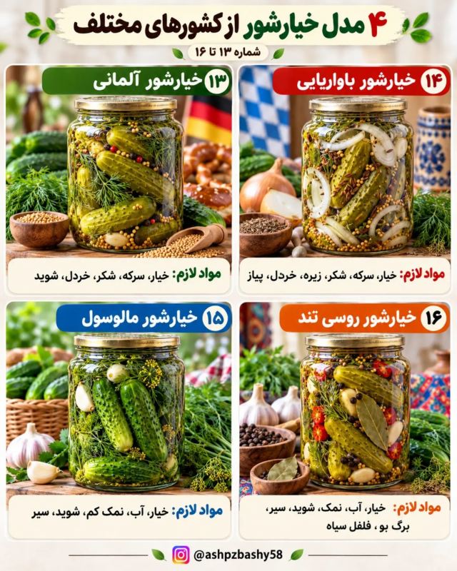 چندین مدل خیارشور از کشورهای مختلف؛ از تند تا شیرین و ادویه ای