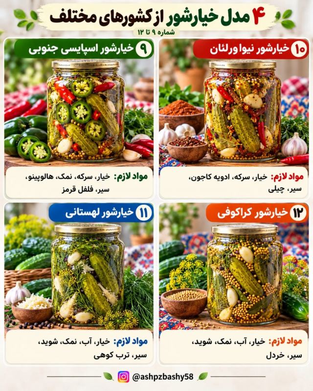 چندین مدل خیارشور از کشورهای مختلف؛ از تند تا شیرین و ادویه ای