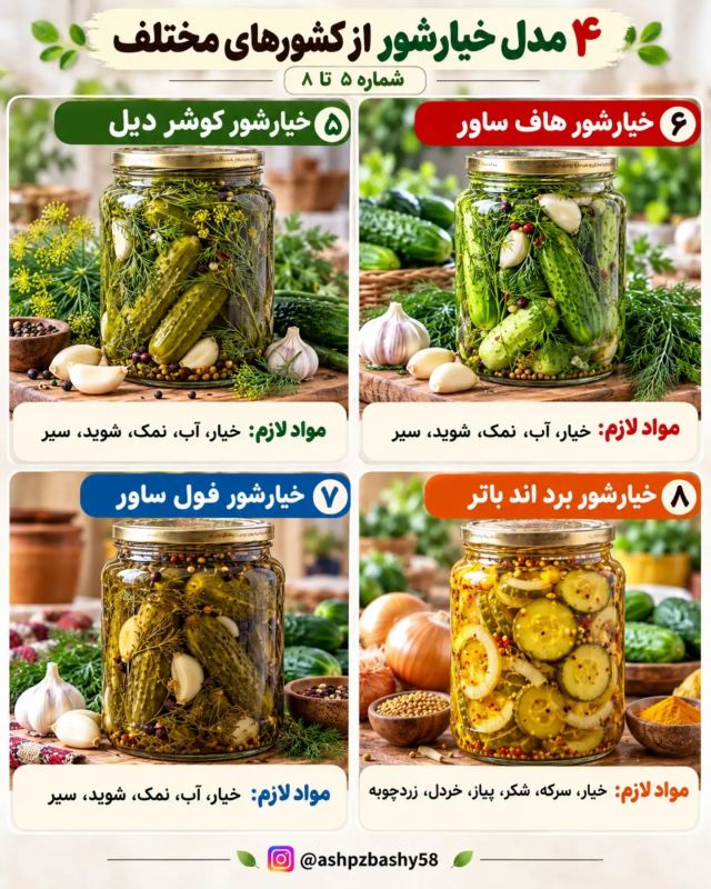 چندین مدل خیارشور از کشورهای مختلف؛ از تند تا شیرین و ادویه ای