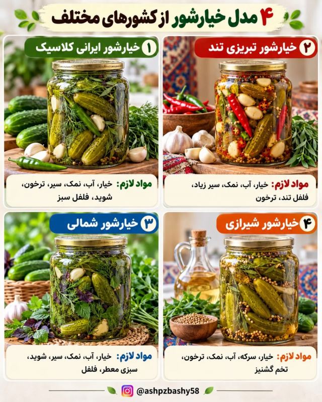 چندین مدل خیارشور از کشورهای مختلف؛ از تند تا شیرین و ادویه ای