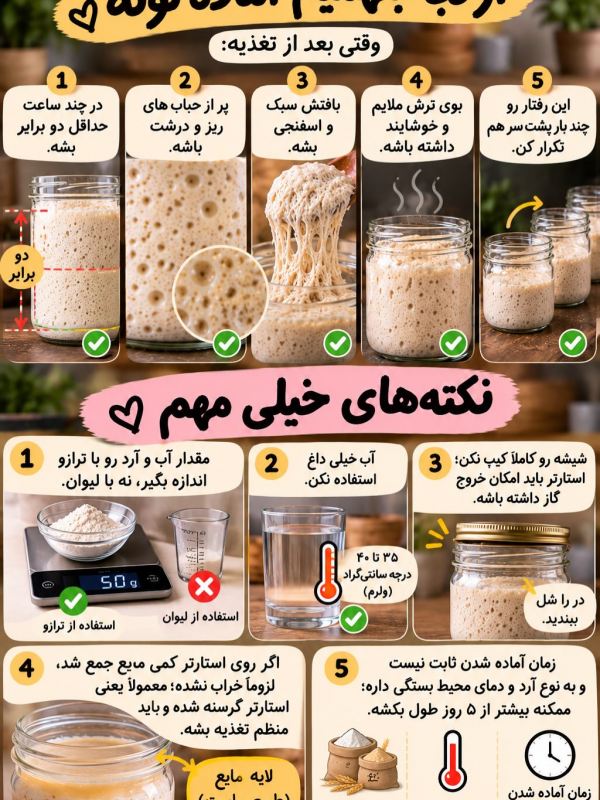 طرز تهیه خمیر ترش خانگی فقط با آرد و آب؛ برای پخت انواع نان
