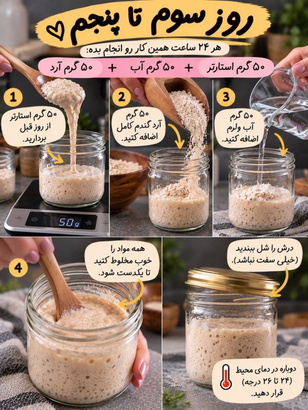 طرز تهیه خمیر ترش خانگی فقط با آرد و آب؛ برای پخت انواع نان